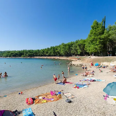 Martin 로비니스코 셀로