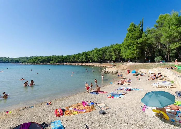 Martin 로비니스코 셀로